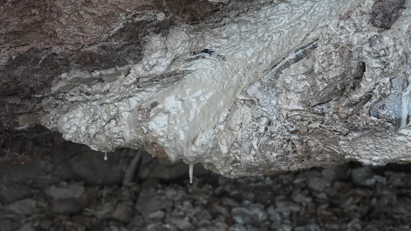 Heat-trapping gas once frozen in Arctic ground  is slowly leaking and warming the planet